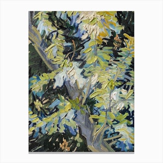 Blossoming Acacia Branches, Van Gogh Canvas Print