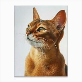 Abyssinian Cat Painting 3 Canvas Print