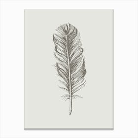 Grey Feather Print 1 Canvas Print