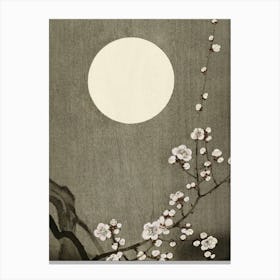 Asian Cherry Blossoms Canvas Print