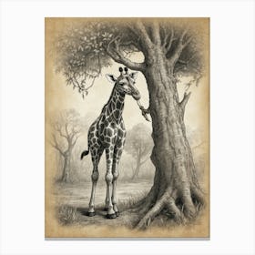 Giraffe By The Tree Canvas Print