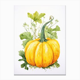 Delicata Squash Pumpkin Watercolour Illustration 1 Canvas Print