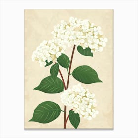 Hydrangea 15 Canvas Print