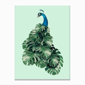 Monstera Bird Canvas Print