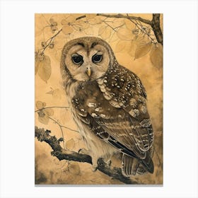 Oriental Bay Owl Japanese Painting 5 Canvas Print