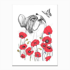 Pug With Poppies Canvas Print