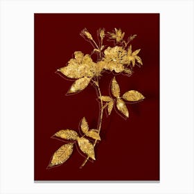 Vintage Hudson Rosehip Botanical in Gold on Red Canvas Print