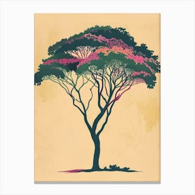 Acacia Tree Colourful Illustration 1 Canvas Print