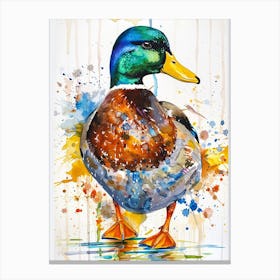 Mallard Duck Colourful Watercolour 4 Canvas Print