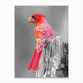 Cardinal on a dry tree stump Canvas Print