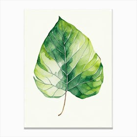 Breadfruit Leaf Minimalist Watercolour Canvas Print