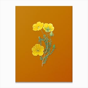 Vintage Long Stalked Ledocarpum Botanical on Sunset Orange n.0546 Canvas Print