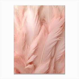 Pink Boho Feather 3 Canvas Print