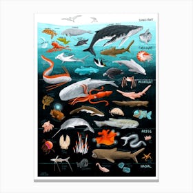 Ocean Zones Canvas Print