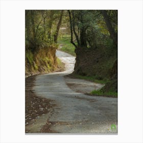 Road In The Woods 20211128 185ppub Canvas Print