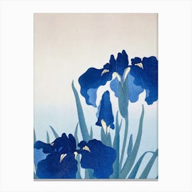 Blue Iris Canvas Print