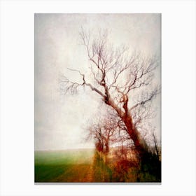 A Field Of Flodden Canvas Print