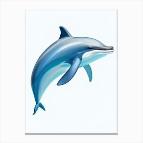 Common Dolphin Digital Illustration Canvas Print