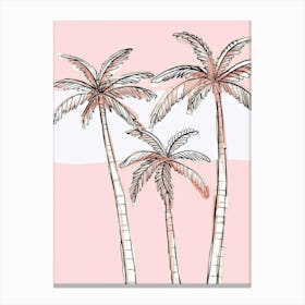 Palm Trees 63 Canvas Print