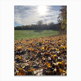 Autumn Leaves In A Field 2 Canvas Print