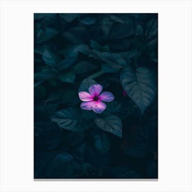 Purple Flower In The Dark Canvas Print