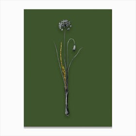 Vintage Autumn Onion Black and White Gold Leaf Floral Art on Olive Green n.1027 Canvas Print