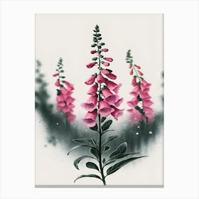 Foxgloves Canvas Print