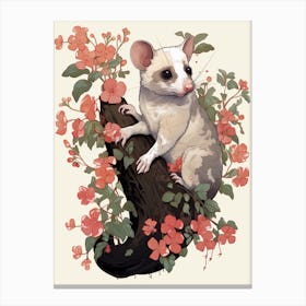 An Illustration Of A Climbing Possum 1 Canvas Print