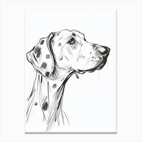 Dalmation Dog Charcoal Line 3 Canvas Print