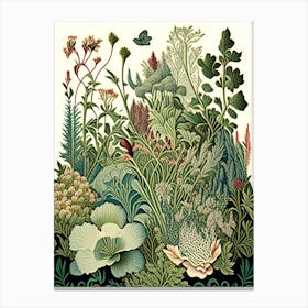 Giardino Botanico Alpino Di Pietra Corva, Italy Vintage Botanical Canvas Print