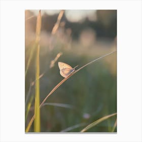 Butterfly On Grass.Generated AI. Wall Art Print Canvas Print