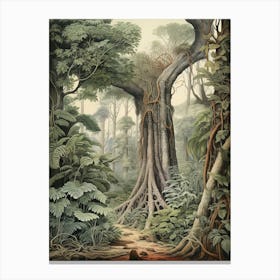Vintage Jungle Botanical Illustration Rainforest Tree 3 Canvas Print