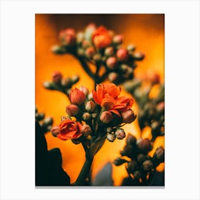 Poster Flower Art Print 21 Canvas Print