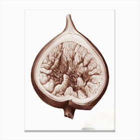 Fig paniting Canvas Print