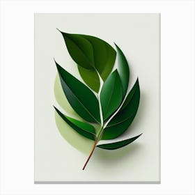 Tea Tree Leaf Vibrant Inspired 3 Canvas Print