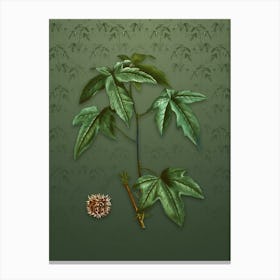 Vintage American Sweetgum Botanical on Lunar Green Pattern n.0042 Canvas Print