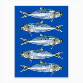 Sardines On A Blue Background Canvas Print