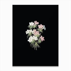 Vintage Thick Flowered Slender Tube Botanical Illustration on Solid Black n.0442 Canvas Print