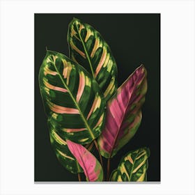 Tropical Leaves 173 Canvas Print