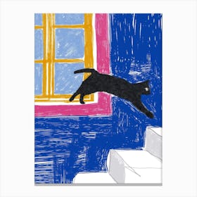 Cat At The Window Canvas Print