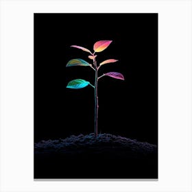 Rainbow Tree In The Dark Canvas Print