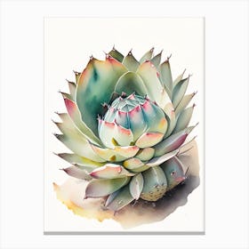 Lophophora Williamsii Storybook Watercolours Canvas Print