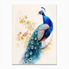 Watercolour Peacock On The Tree Branch 3 Canvas Print