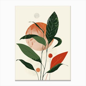 Chinese Evergreen Plant Minimalist Illustration 4 Canvas Print