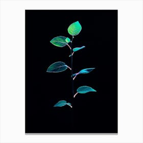 Green Leaf On A Black Background 1 Canvas Print