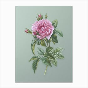 Vintage Pink French Rose Botanical Art on Mint Green n.0903 Canvas Print