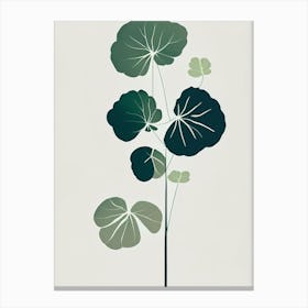 Lady's Mantle Herb Simplicity Canvas Print