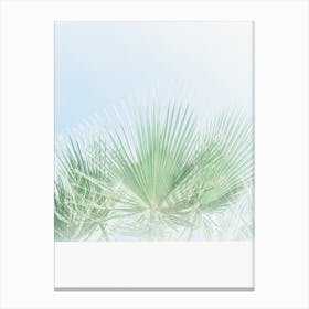 Peppy Palms Canvas Print