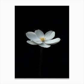 Lotus Flower 19 Canvas Print