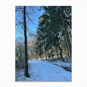 Snowy Path In The Woods Canvas Print